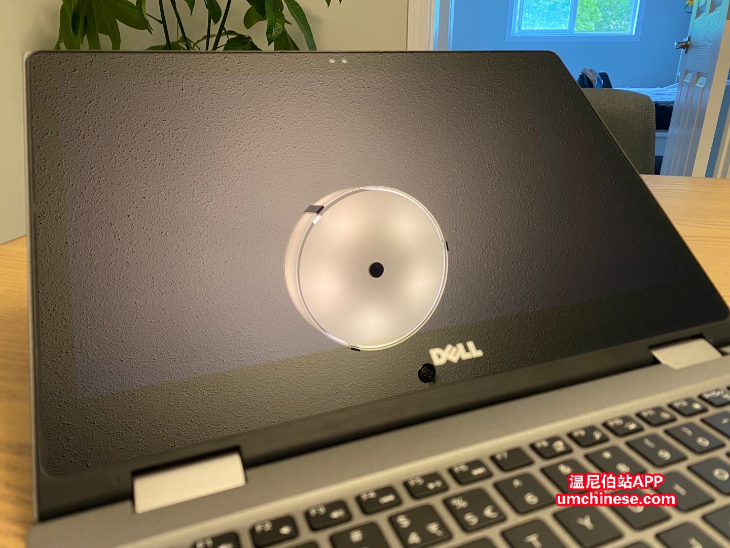 dell laptop -2.jpg