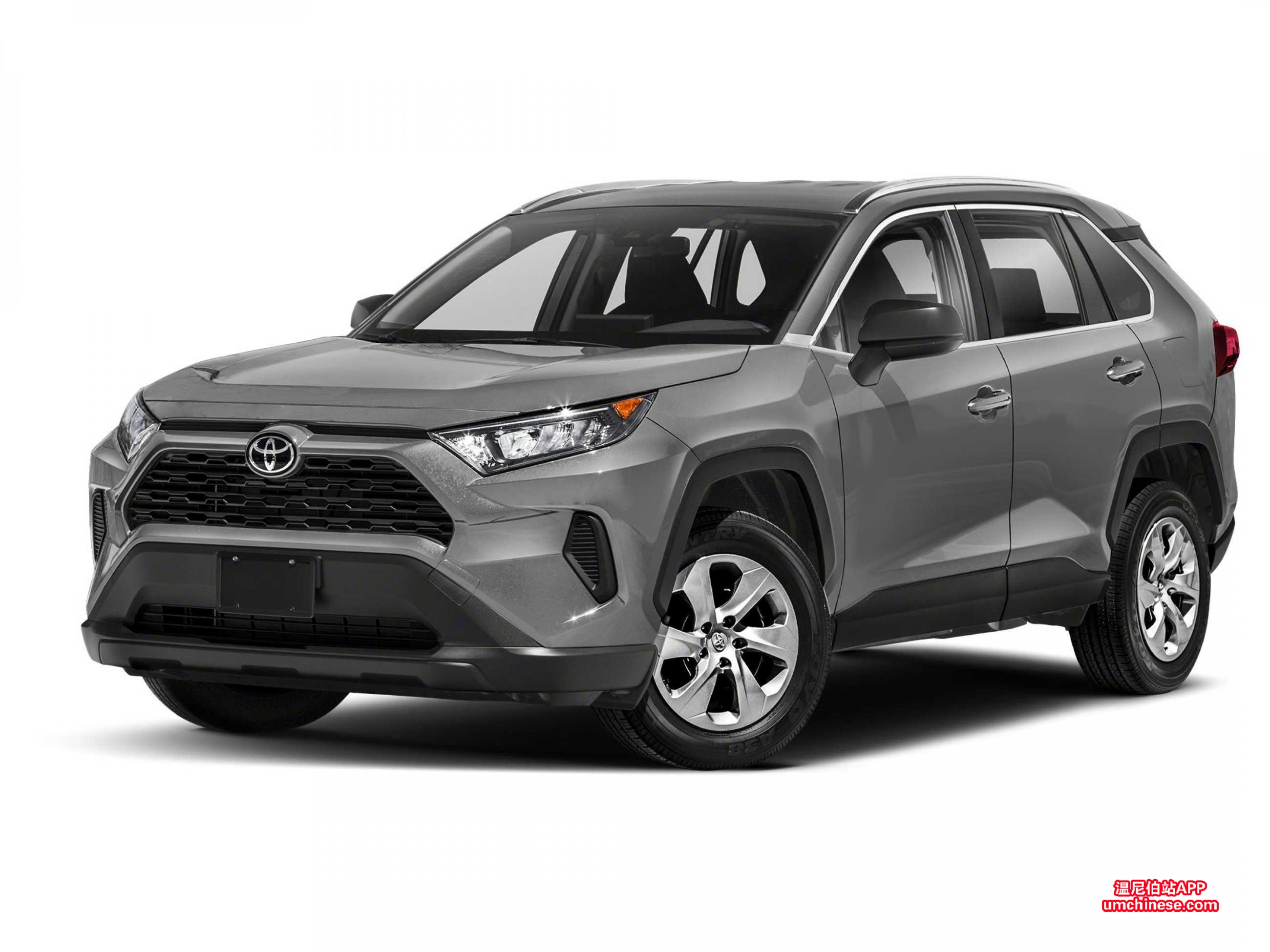 rav4.jpg