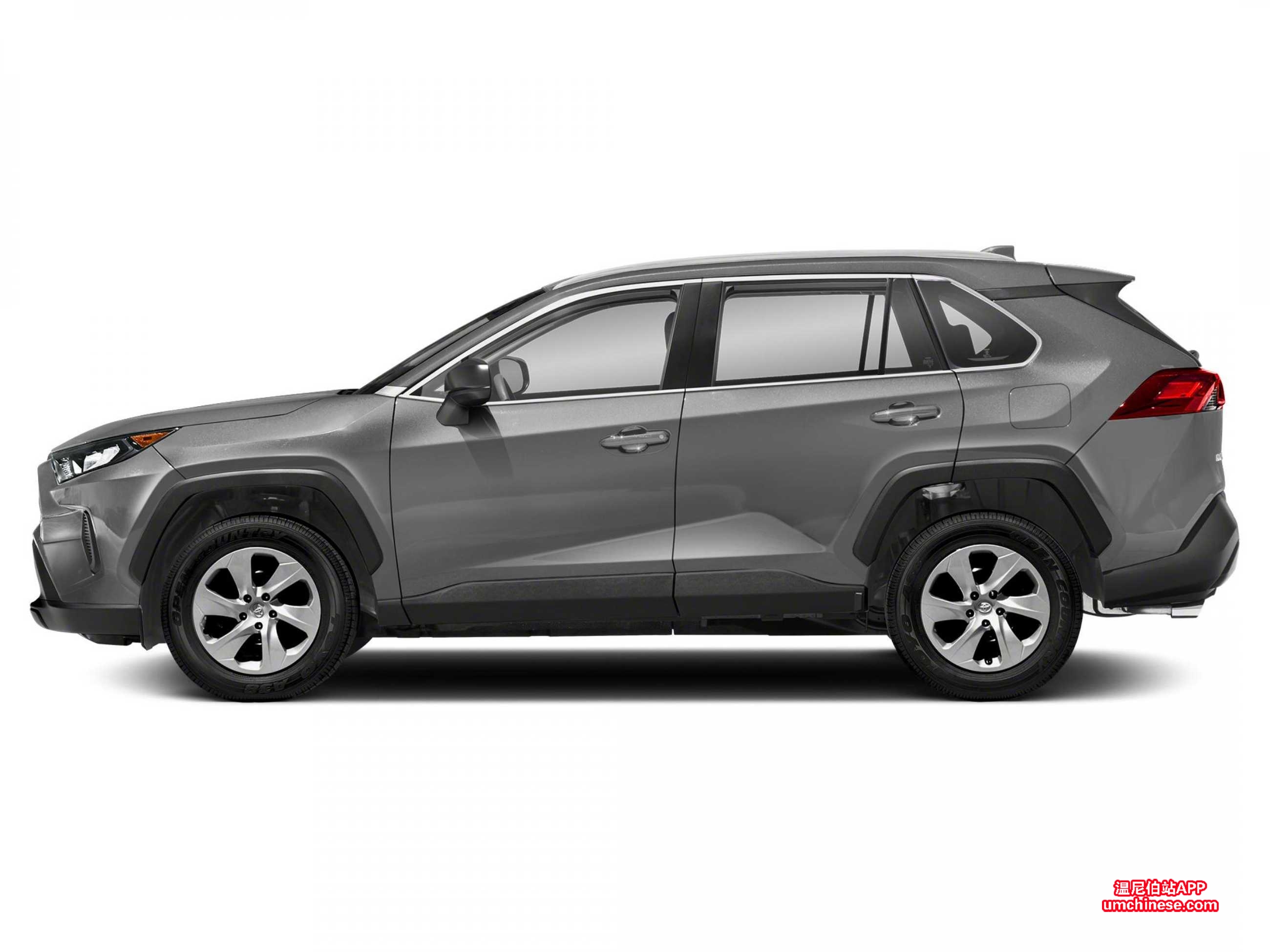 rav43.jpg