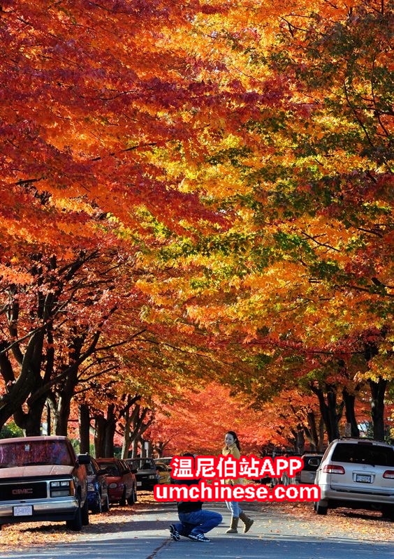 23a3a5a9-333b-429d-b2db-3bf04c01f04f.jpeg