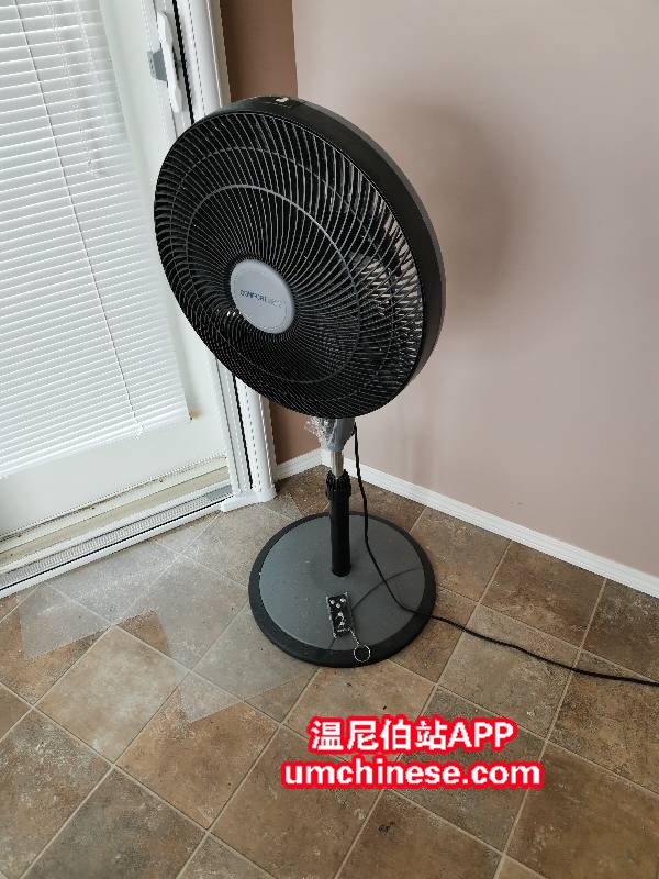 1617136552638.jpg