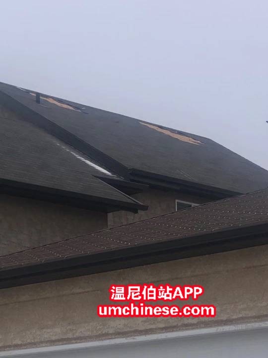 mmexport1617124865191.jpg
