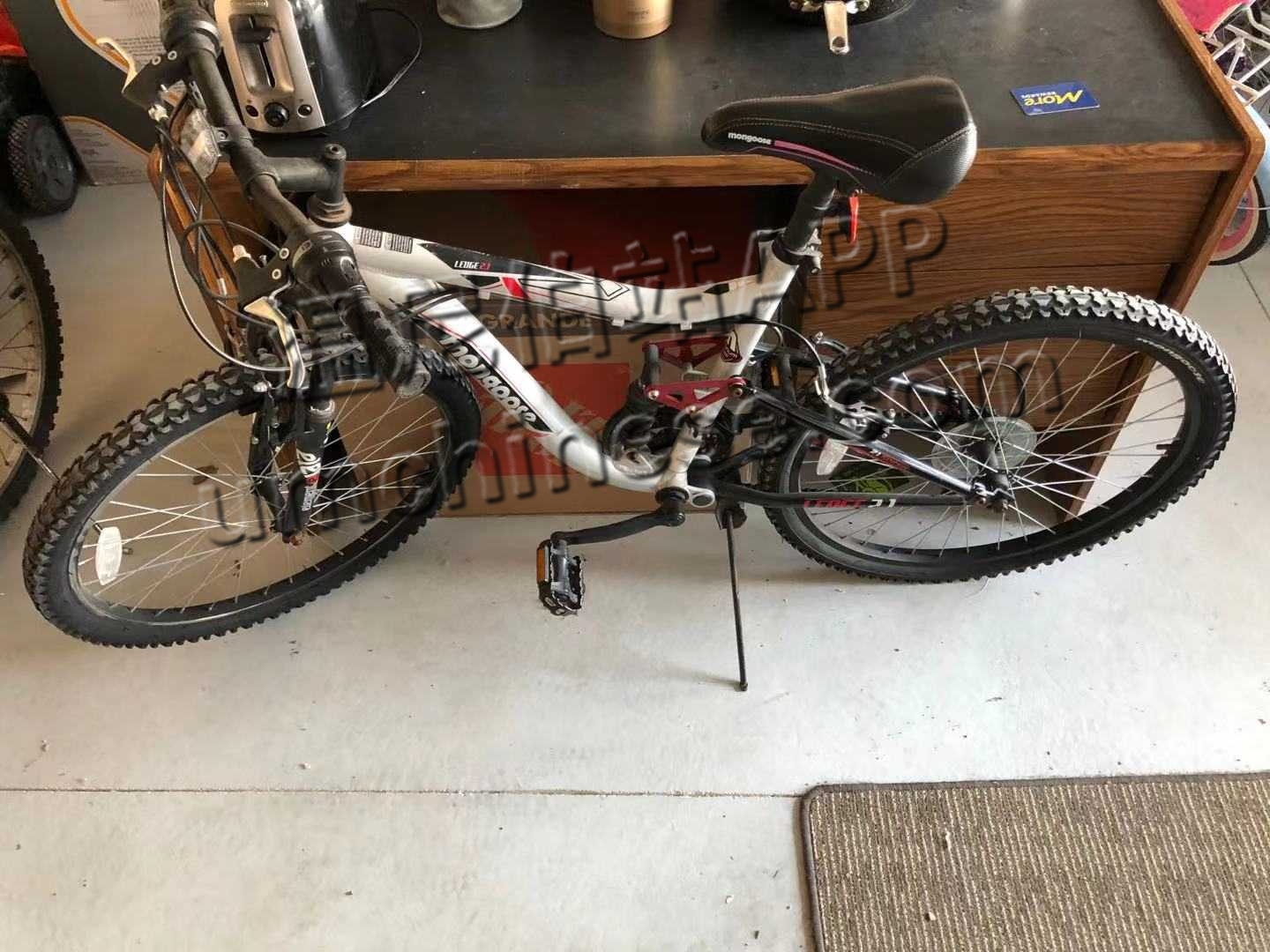 21 speed mountain bike.jpg