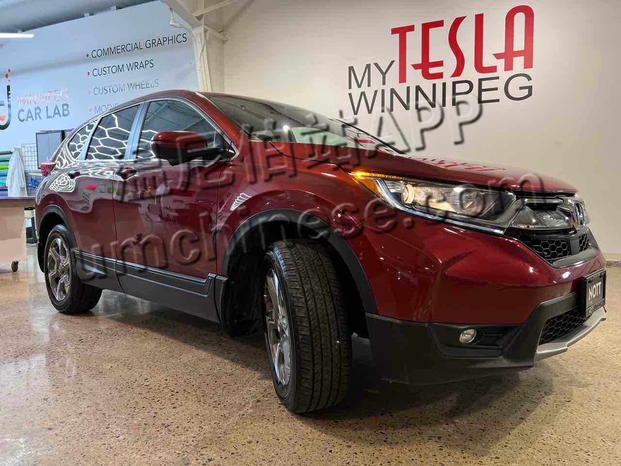 honda_crv_7289a_2.jpg