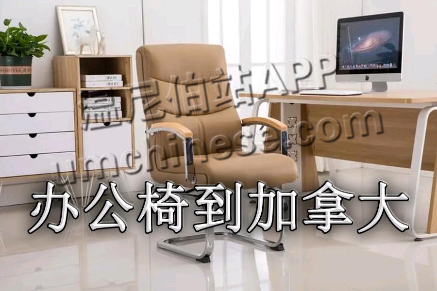 1685068939524_mmexport1681374356754.jpg