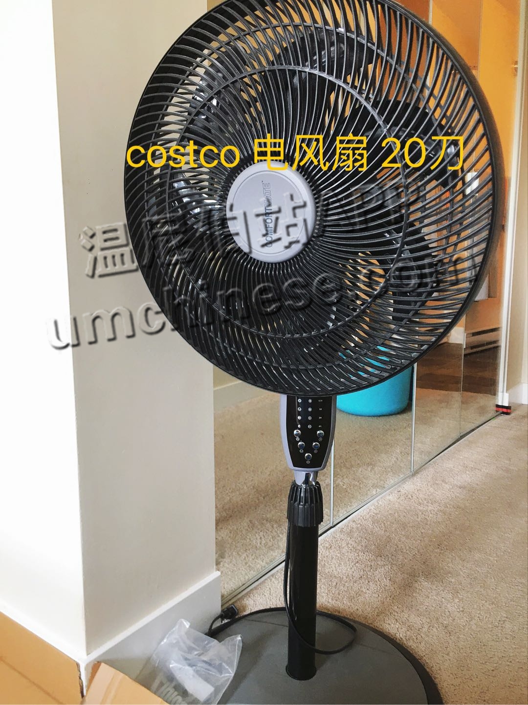 1689612915-compressed-IMG_1948.JPG