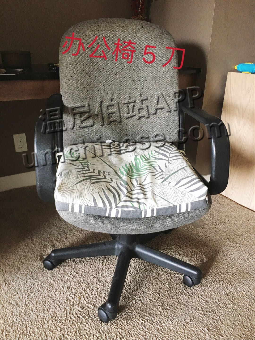 1689613118-compressed-IMG_1951.JPG