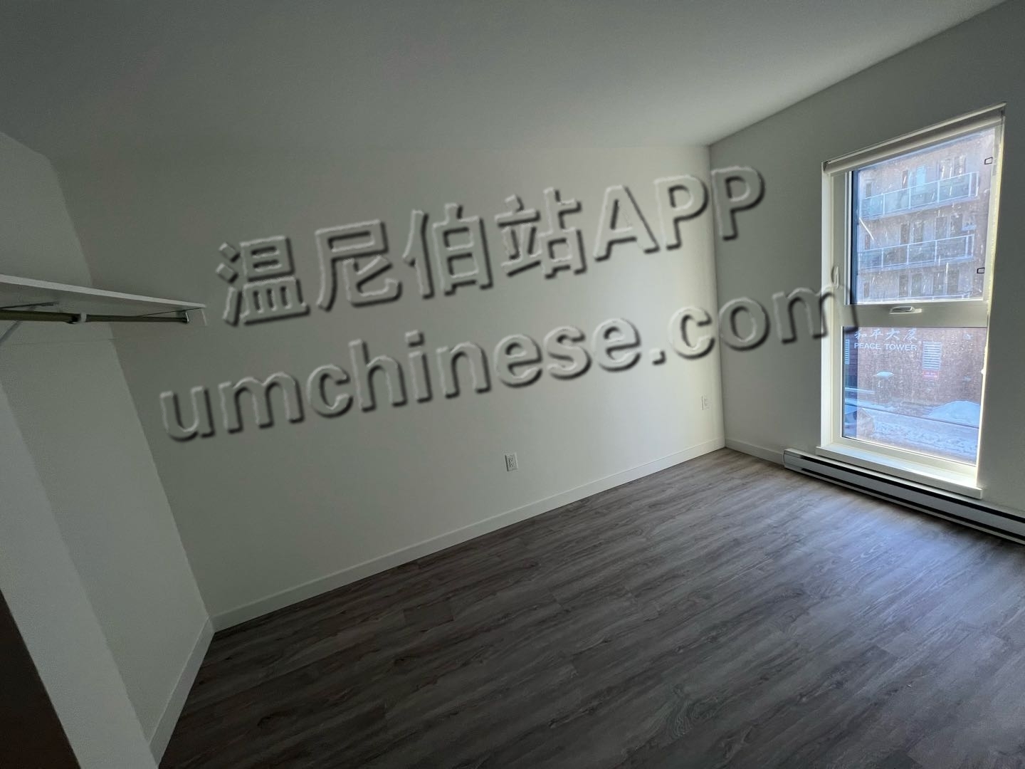 1675807265-compressed-IMG_9420.jpg