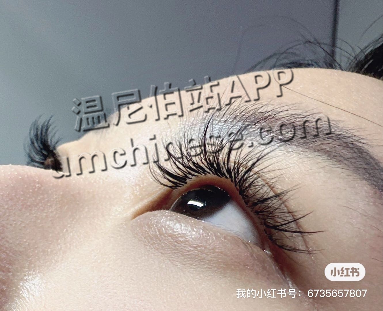 1696563608-compressed-IMG_0212.JPG