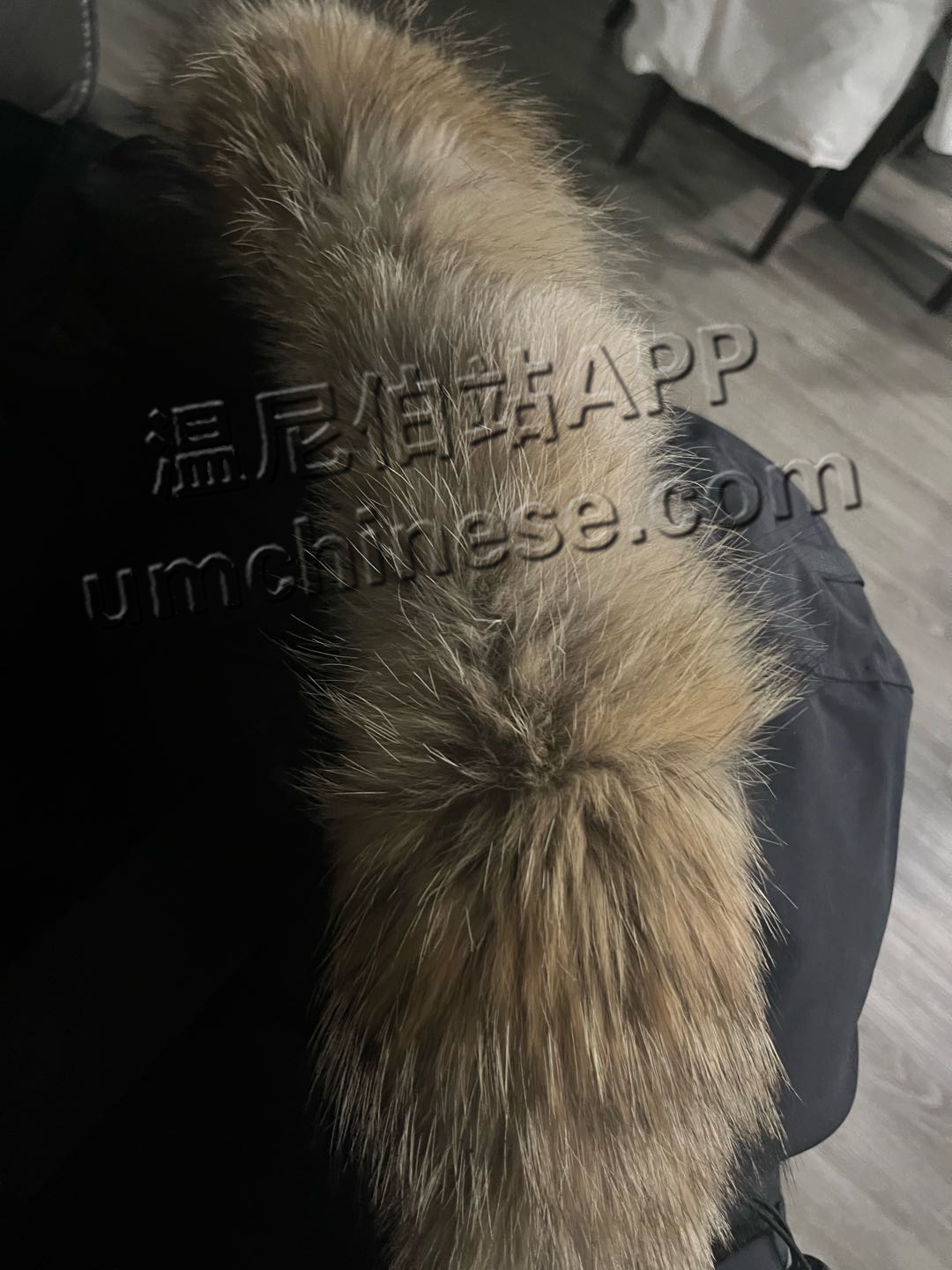 1703380731-compressed-IMG_1532.jpg