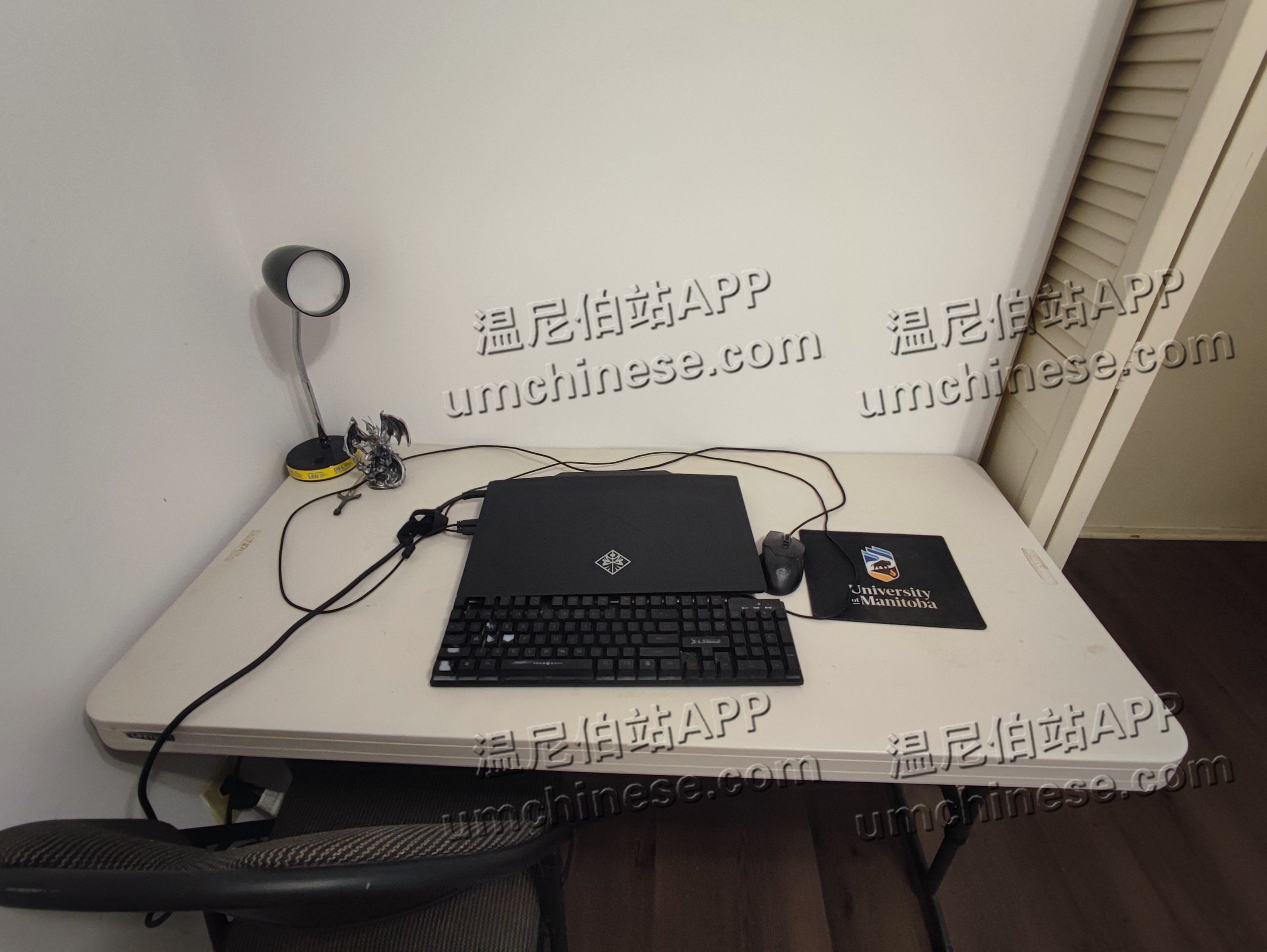 mmexport1714177421534.jpg