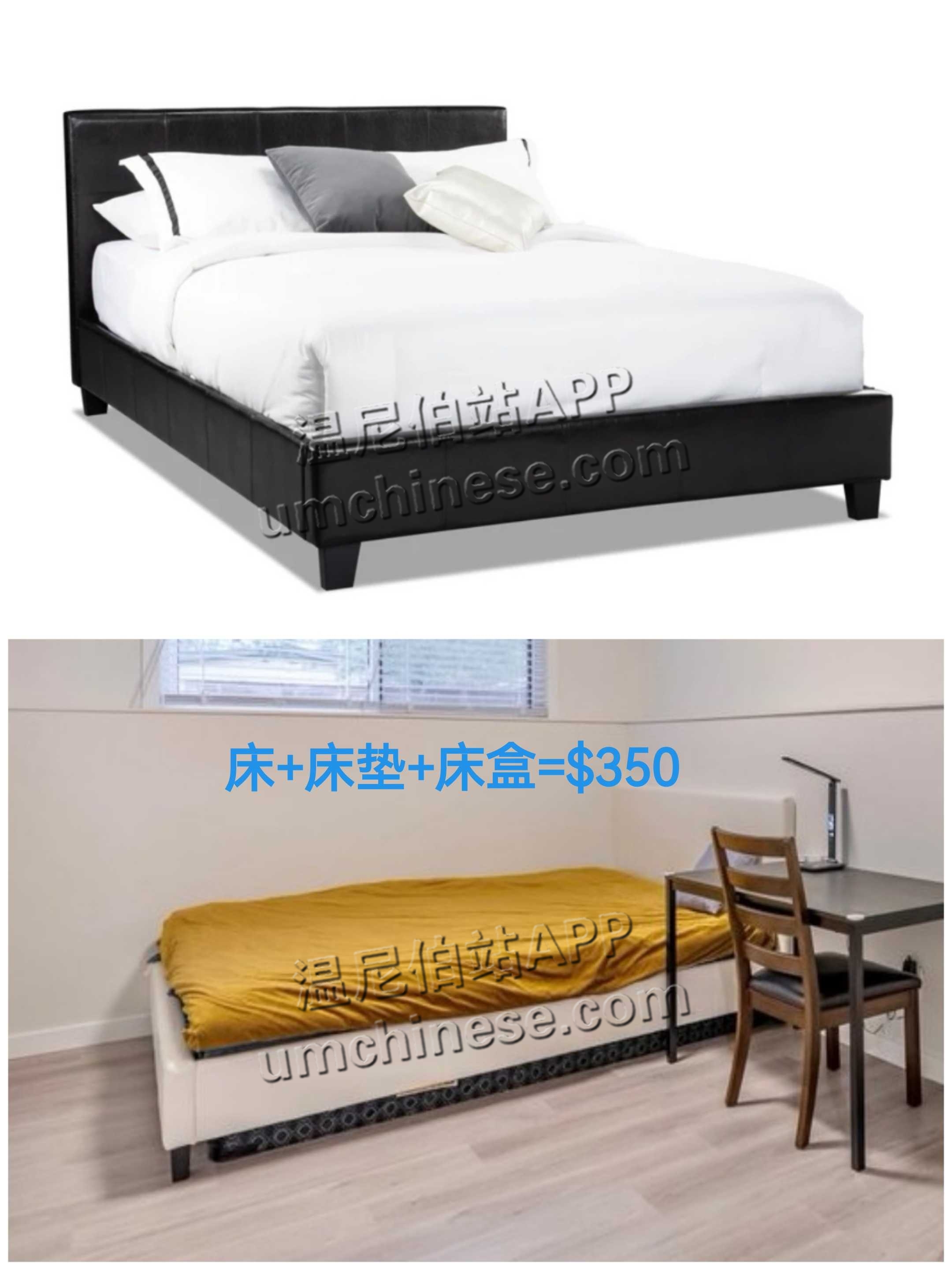 .jpg