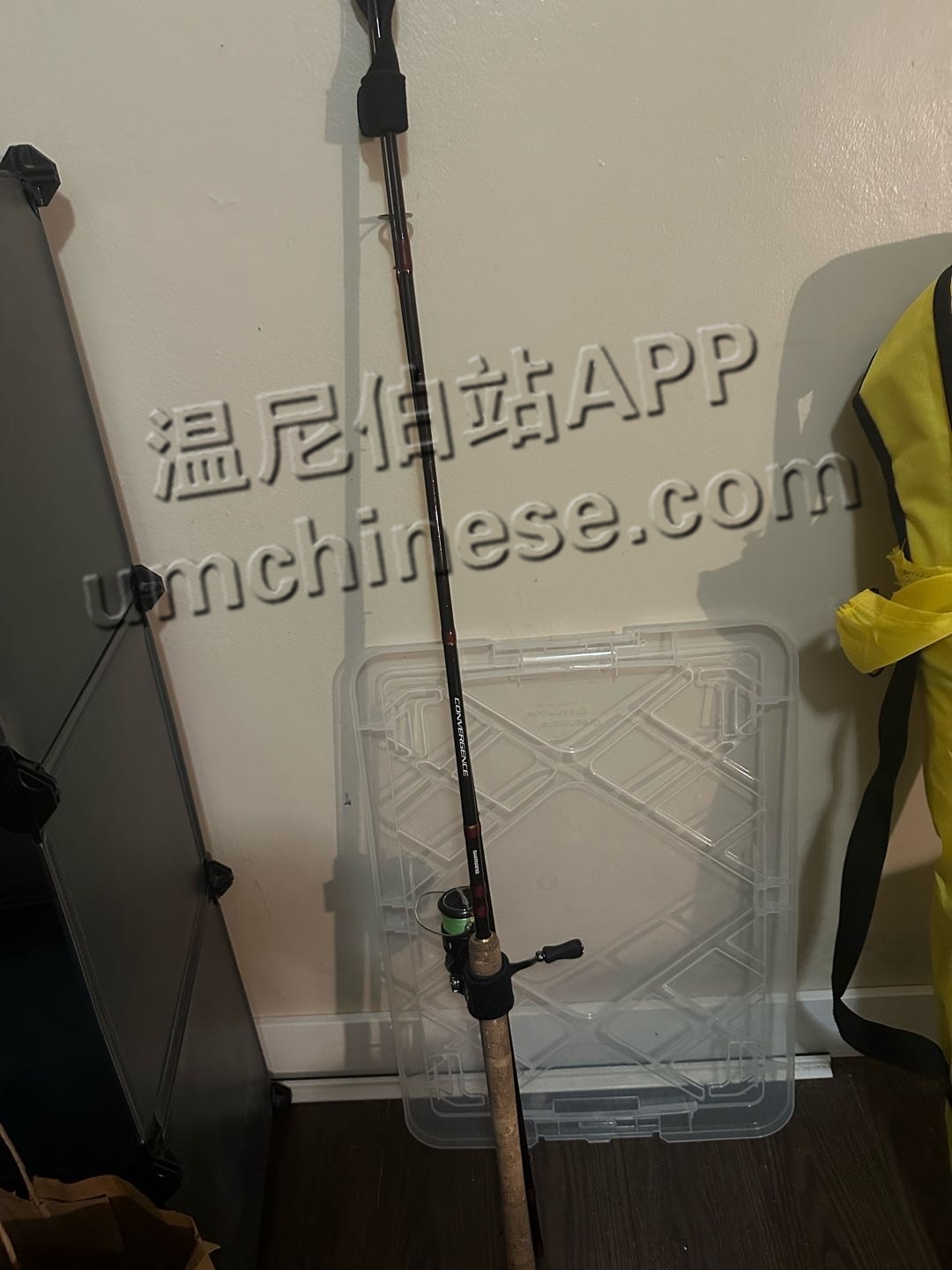 1726039293-compressed-IMG_9852.jpg