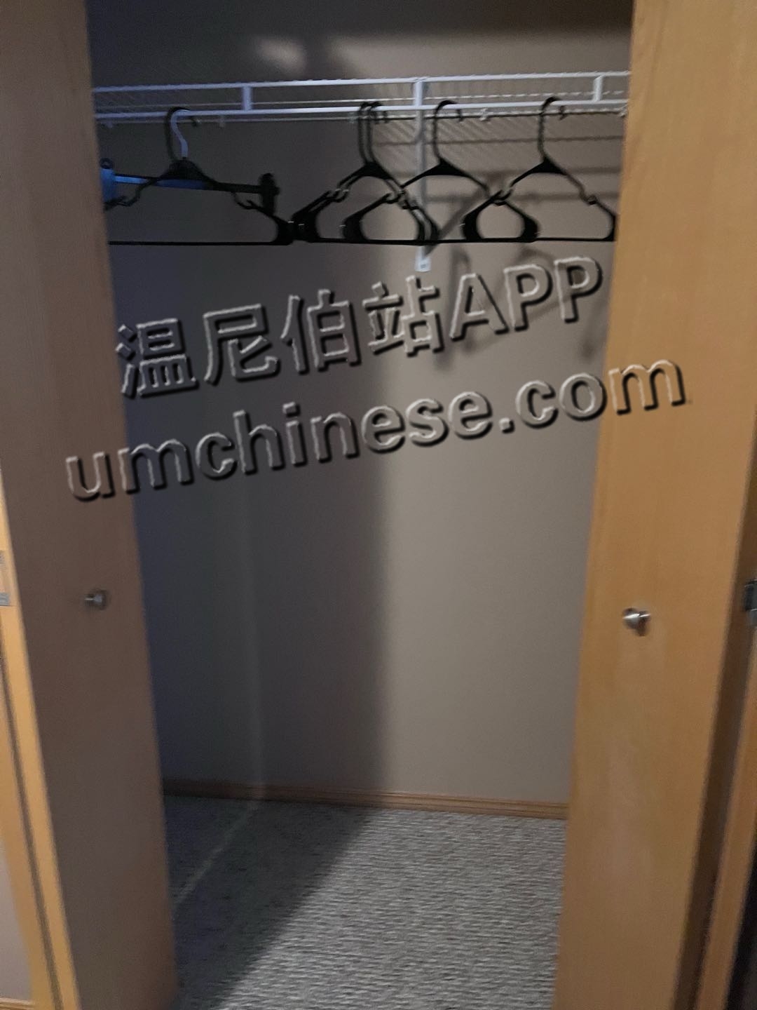 1698894667-compressed-IMG_7125.JPG