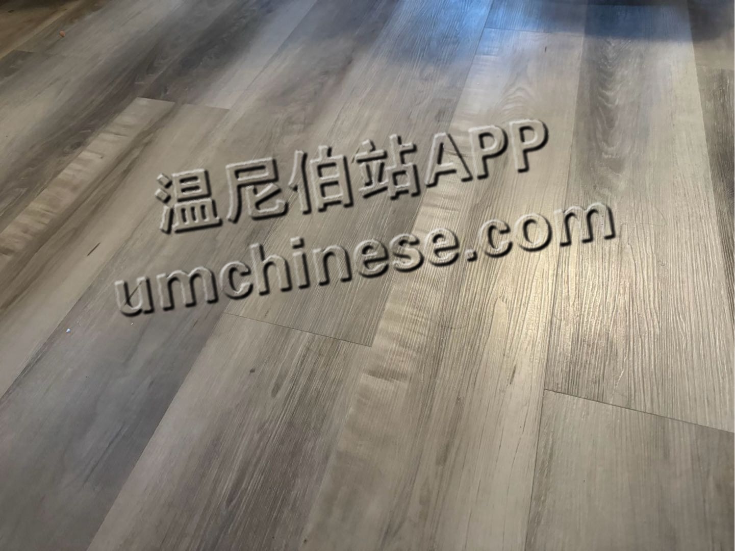 1741312667-compressed-IMG_6769.JPG