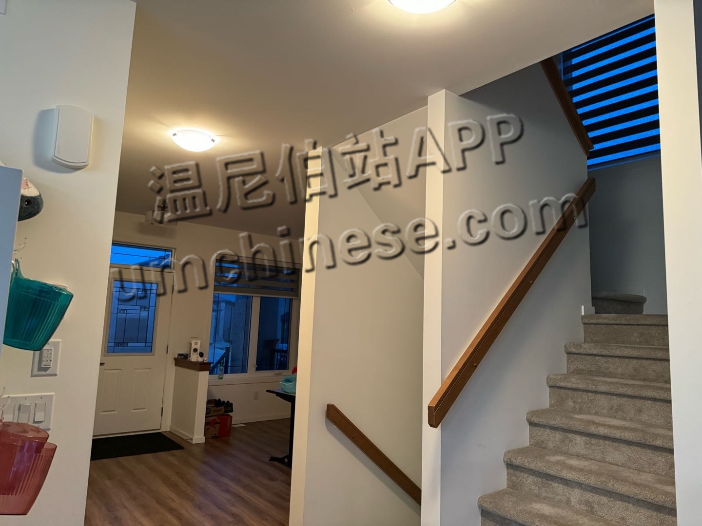 1715997878-compressed-IMG_0602.jpg
