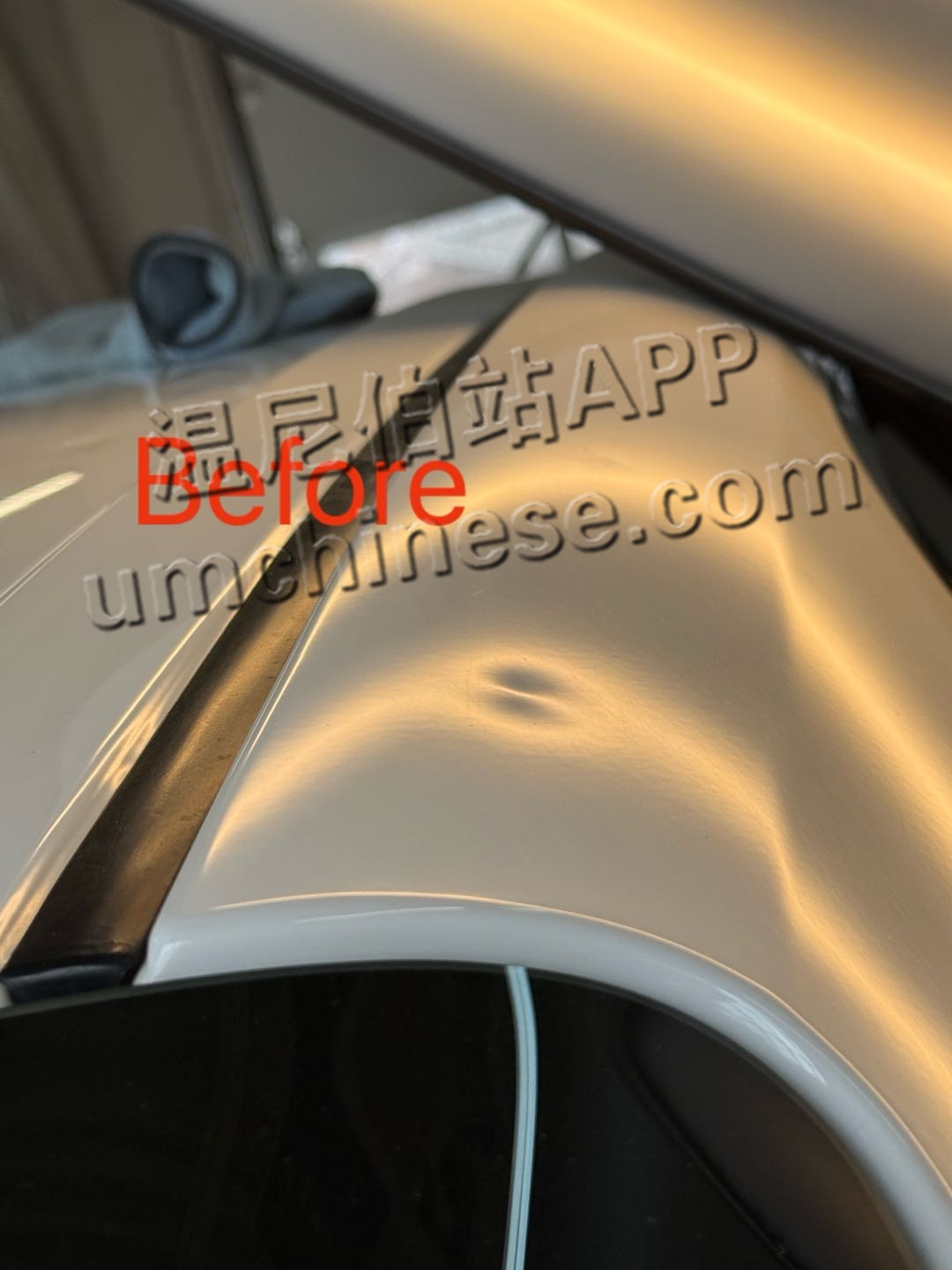 1744684208-compressed-IMG_1567.JPG