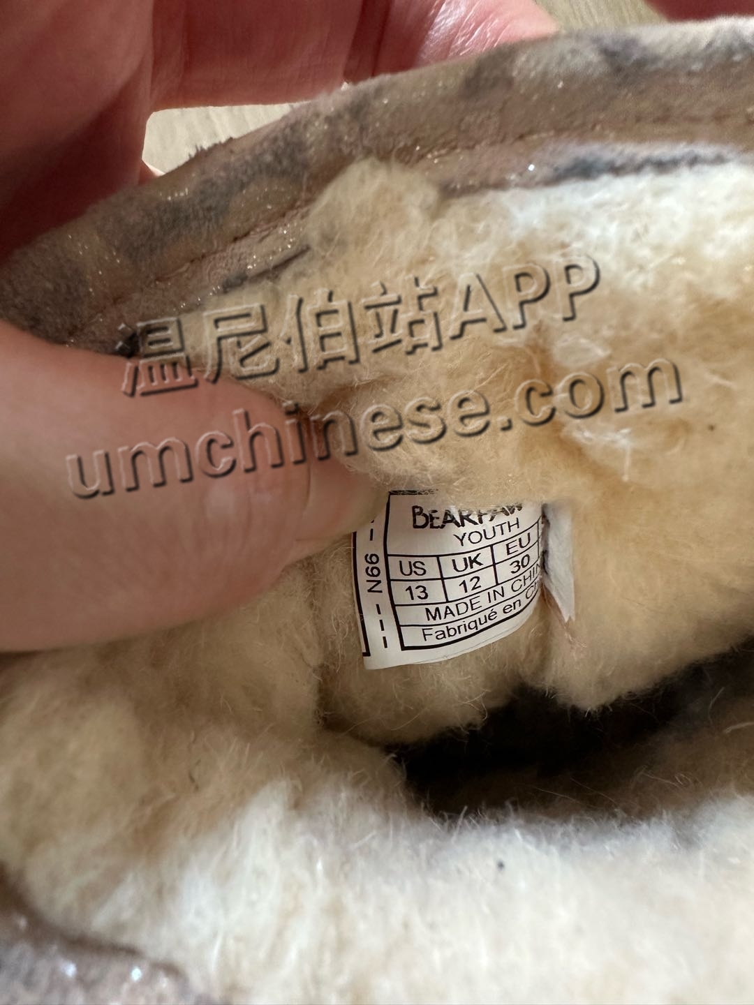 1744729663-compressed-IMG_9015.jpg