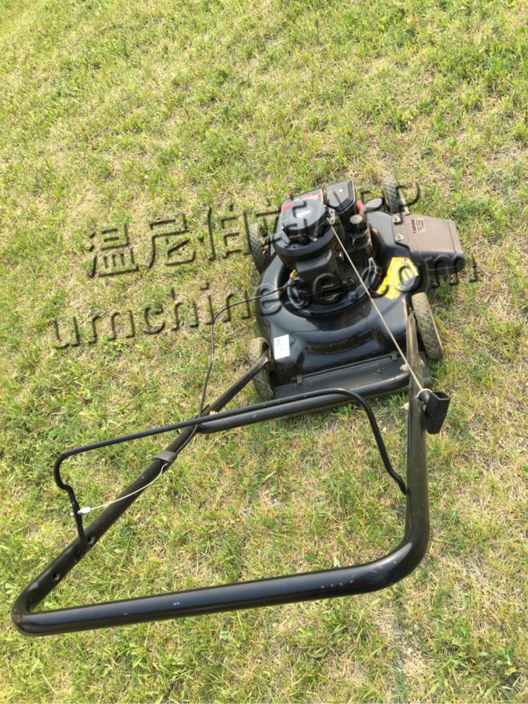 1749224194-compressed-IMG_6761.JPG