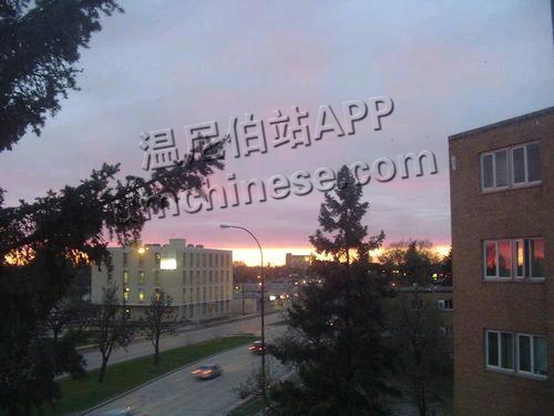 1749477690755_mmexport1749477535861.jpg