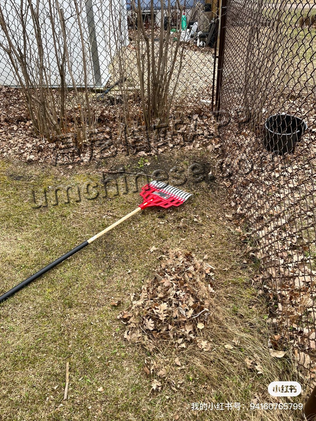 1745778275-compressed-IMG_6807.JPG