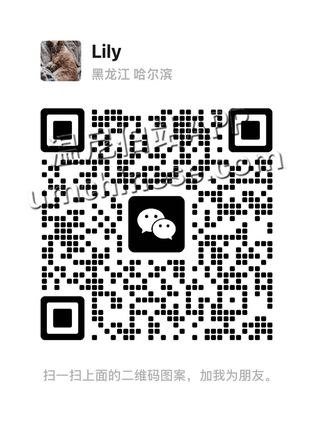 1758128104-compressed-IMG_2823.JPG